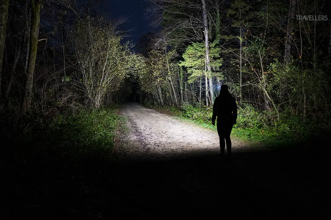 Die Lichtausbeute der Stirnlampe Lupine Penta im Test nachts im Wald