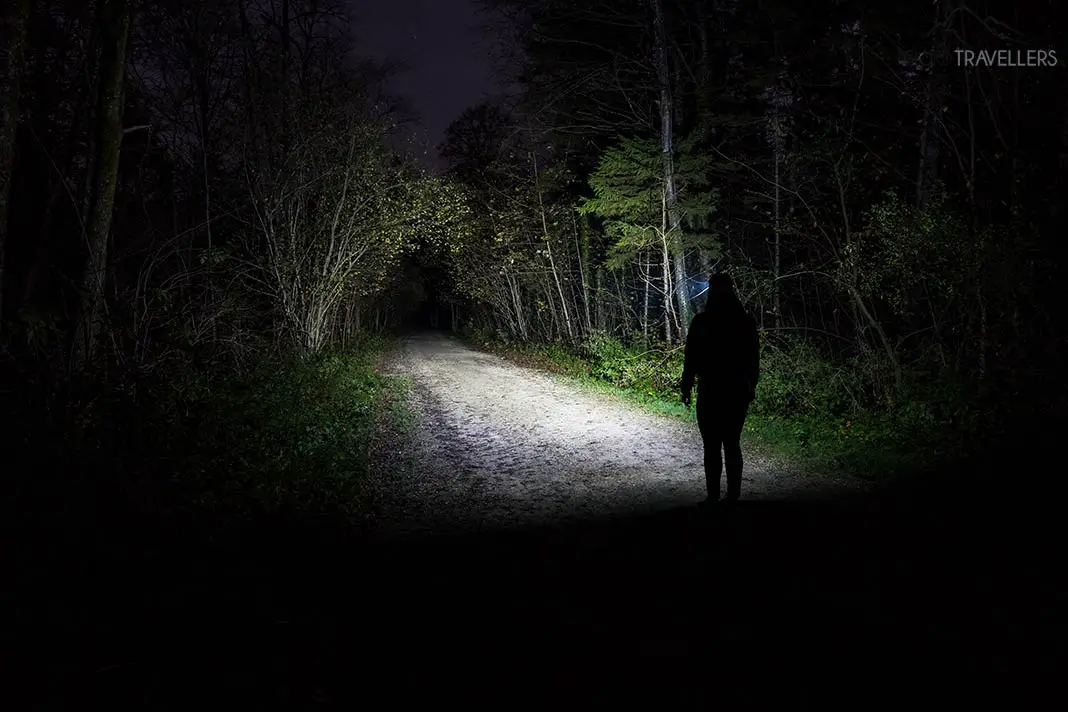 Die Lichtausbeute der Stirnleuchte Petzl Actik Core im Test nachts im Wald