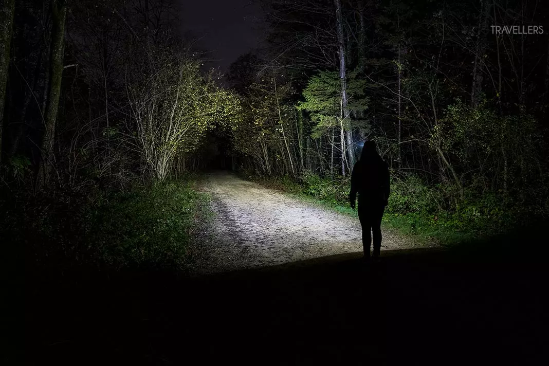 Die Lichtausbeute der Kopflampe Petzl Tikka Core im Test nachts im Wald