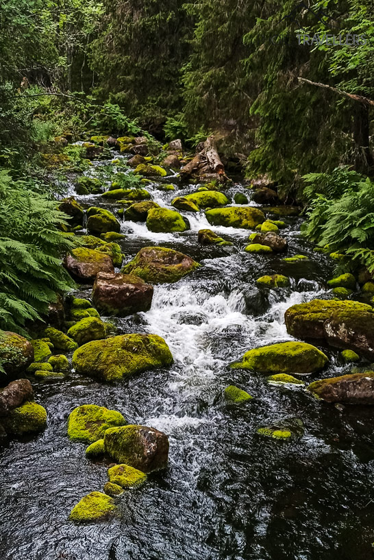 Ein Fluss im Fulufjäll Gebirge