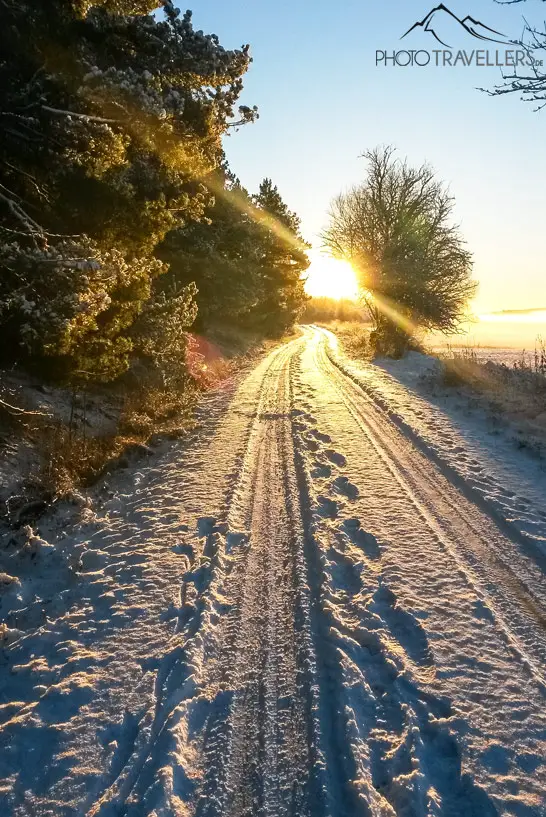 Blick auf einen verschneiten Weg mit Sonne in Schweden