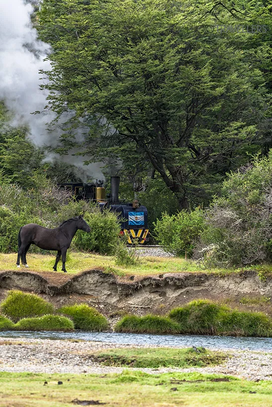 Ein Pferd vor dem Tren del Fin del Mundo