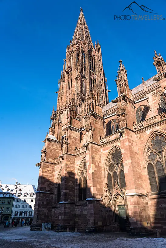 Blick von unten hinauf auf den mächtigen Turm des Freiburger Münsters