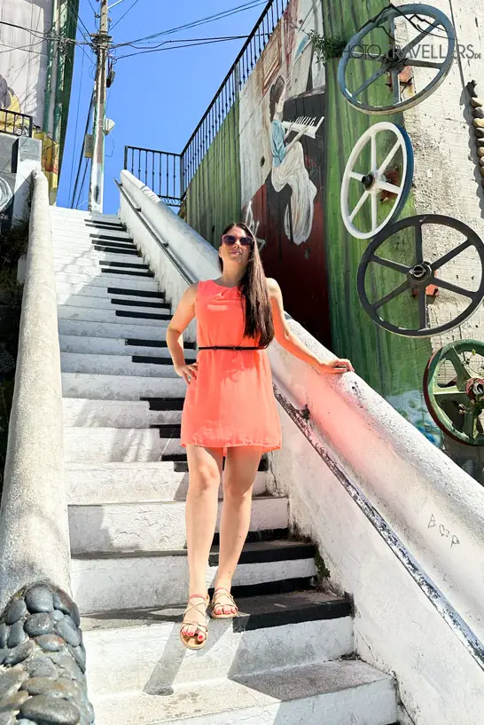 Biggi auf einer Treppe in Valparaíso