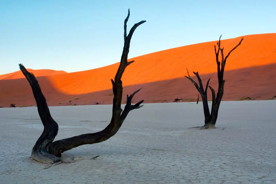 Abgestorbene Bäume vor einer Sanddüne im Deadvlei in Namibia