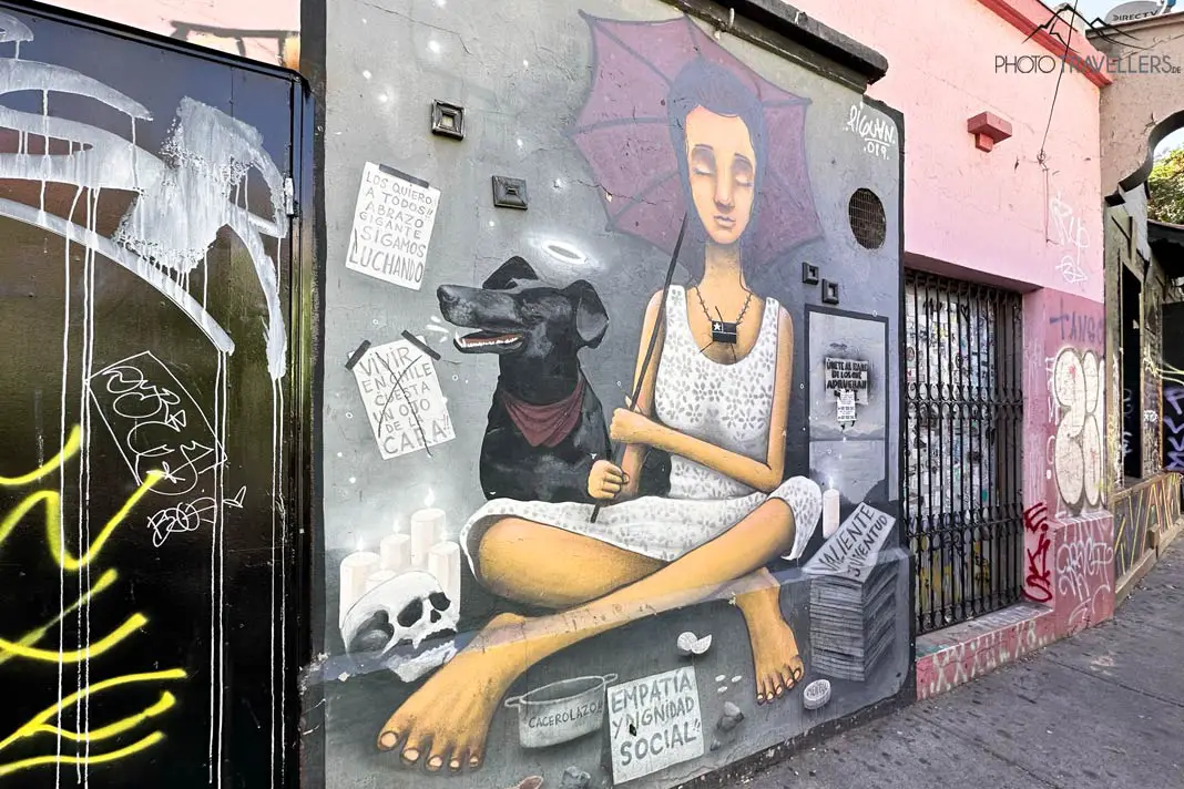 Ein buntes Graffiti einer jungen Frau im Barrio Bellavista in Santiago de Chile