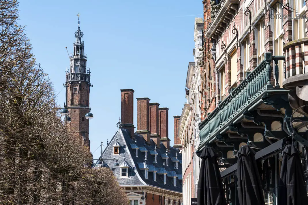 Der Blick auf das alte Rathaus in Haarlem