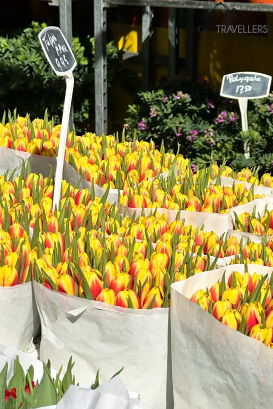 Gelbe Tulpen auf dem Blumenmarkt in Utrecht
