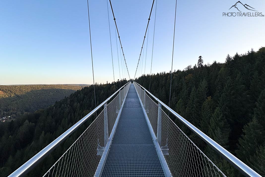 Die Wildline Hängebrücke im Schwarzwald