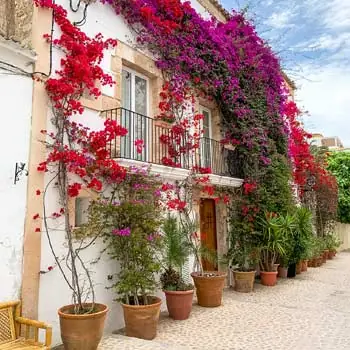 Sehenswürdigkeiten in Ibiza Stadt