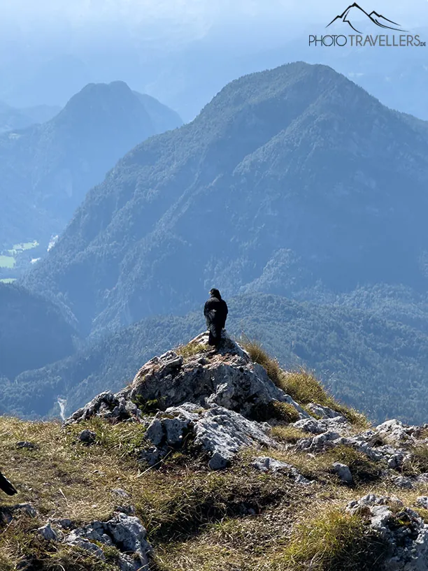Eine Dole in den Bergen, aufgenommen mit der 5x-Telefotokamera des iPhone 15 Pro Max