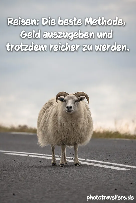 Ein Schaf mit dem Spruch "Reisen: Die beste Methode, Geld auszugeben und trotzdem reicher zu werden."