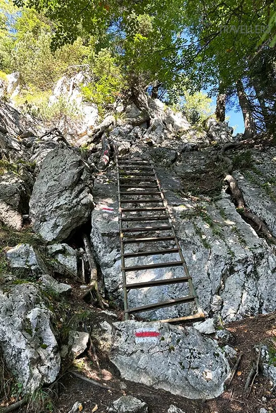 Die Leiter beim Einstieg auf den Steinerne Jäger Steig