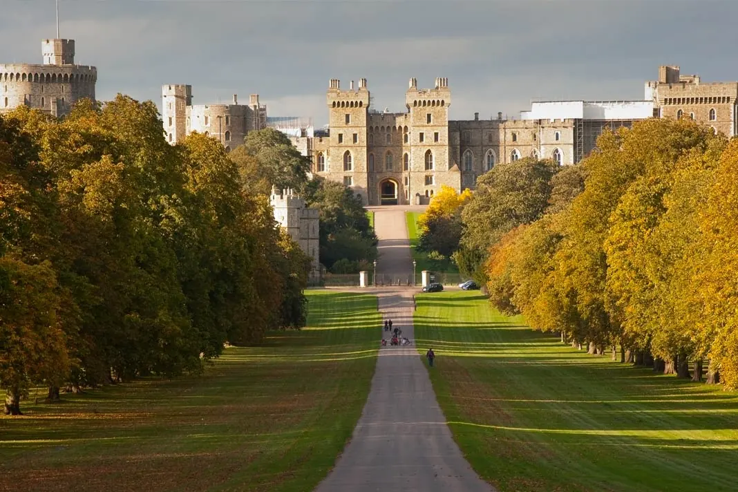 Blick auf einen langen Weg, der direkt nach Windsor Castle in England hinführt mit herbstlich gelben Bäumen