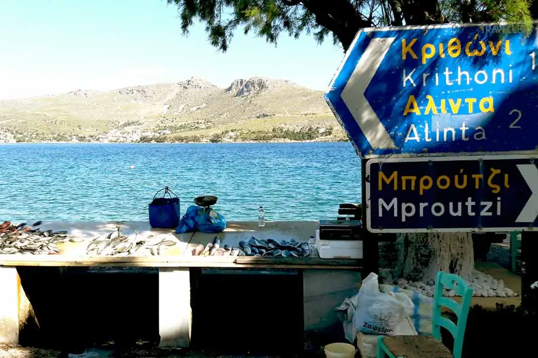 Blaue Verkehrsschilder weisen am Strand in Leros den Weg