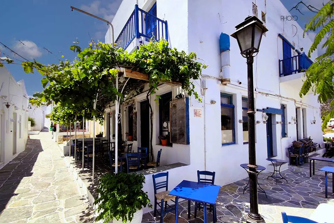Blaue Stühle und Tische stehen unter einem mit Wein bewachsenen Vordach auf Patmos