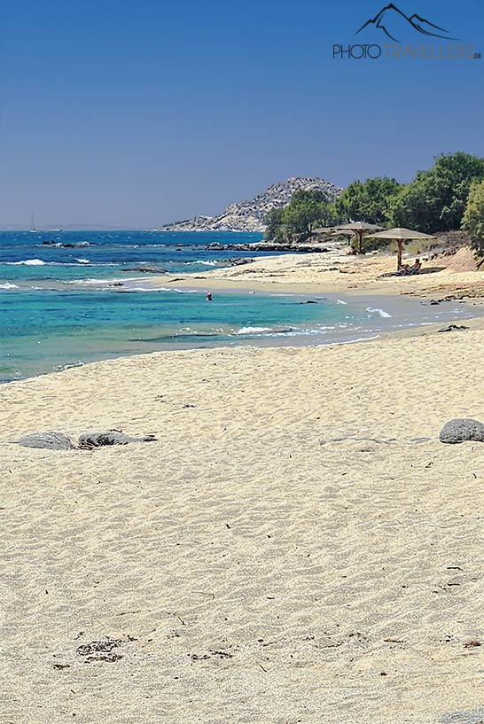 Am Alyko Beach findet man weißen Sand, kleine Buchten und viele Zedernbäume