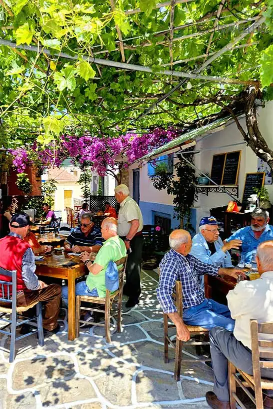 Viele ältere Herren sitzen an den Tischen einer Tavern unter einem Weingewächs