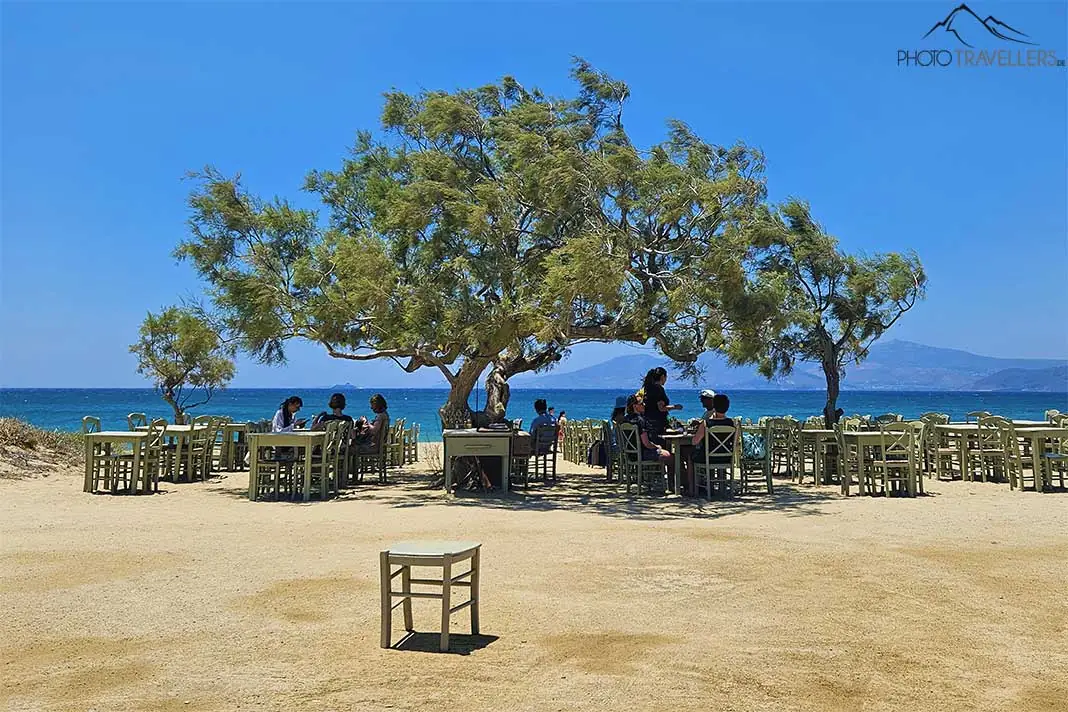 Gäste sitzen unter einem schattenspendenden Baum an den Tischen einer Taverne am Maragas Beach