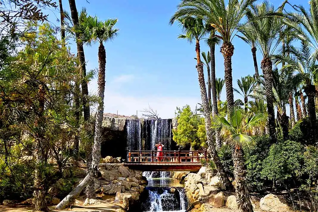 Im Park El Palmeral finden sich viele Wasserfälle und Palmen 