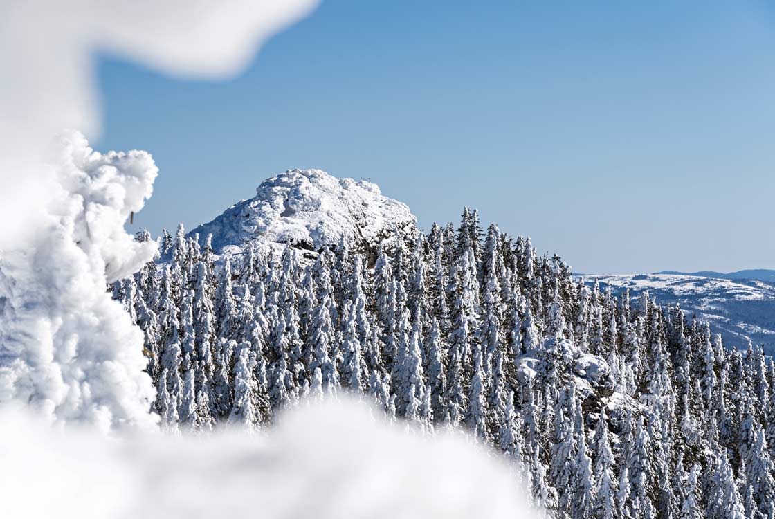 Winterlandschaft auf dem Großen Arber, Bayerischer Wald