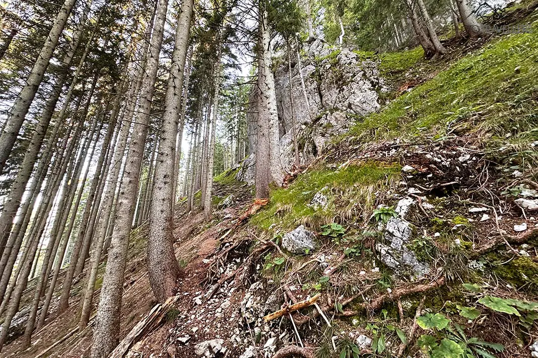 Felsen im Wald unterhalb vom Breitenstein