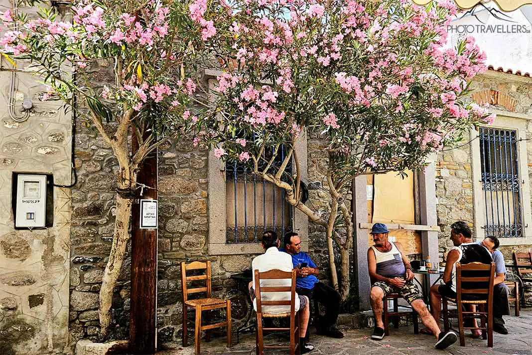 Einige alte griechische Männer sitzen unter einem Baum am Dorfplatz von Kontias