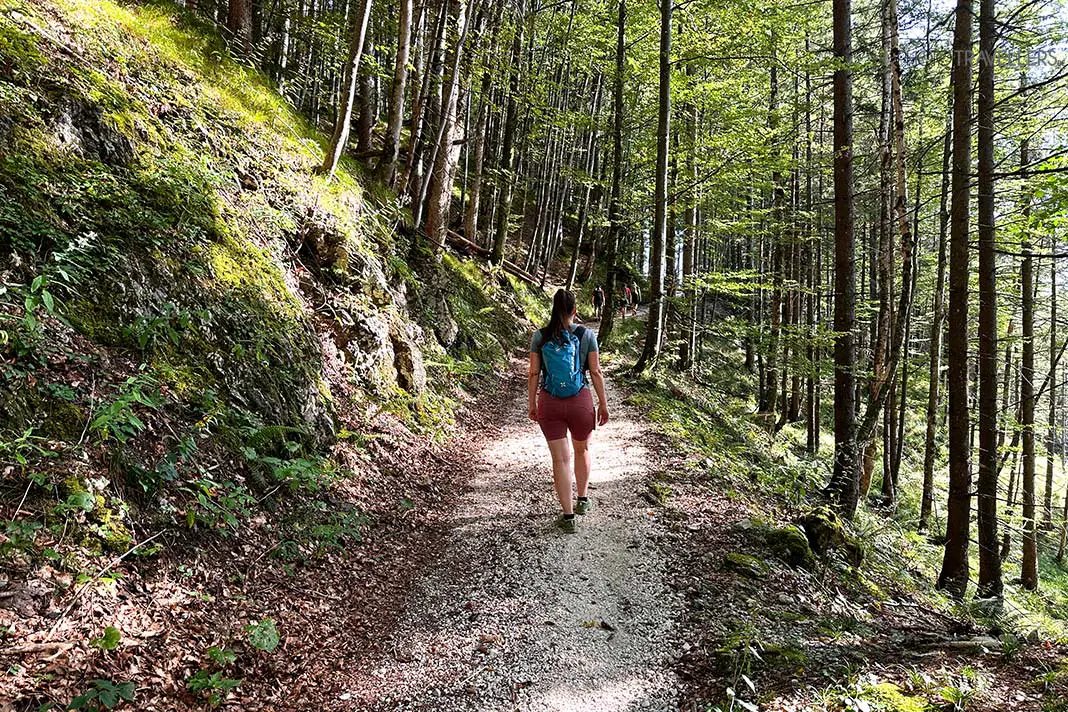 Reisebloggerin Biggi Bauer läuft einen breiten Waldweg nach oben