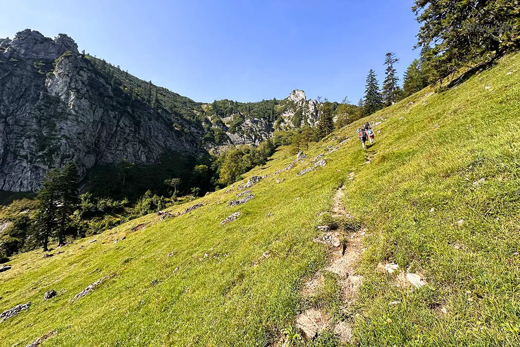 Mehrere Wanderer, die einen Grashang hinter der Brandlbergalm nach oben wandern