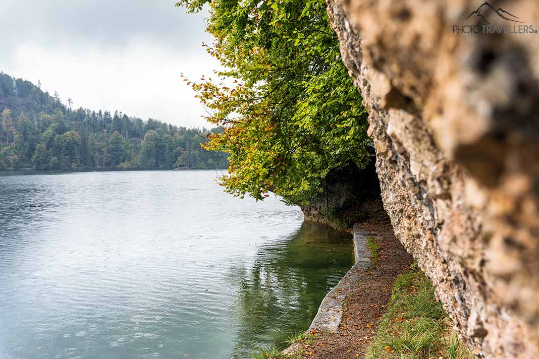 Uferweg am Hechtsee