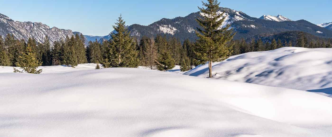 Alle Infos zur Winterwanderung zur Hindenburghütte und zur Hemmersuppenalm