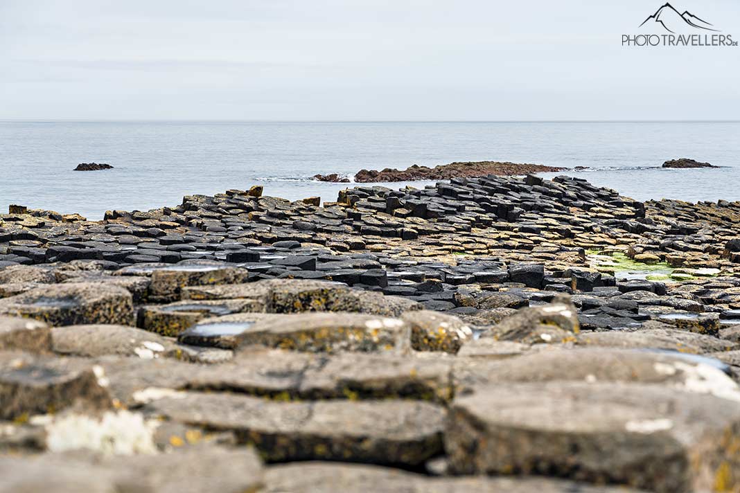 Die Basaltsäulen am Giant's Causeway in Nordirland