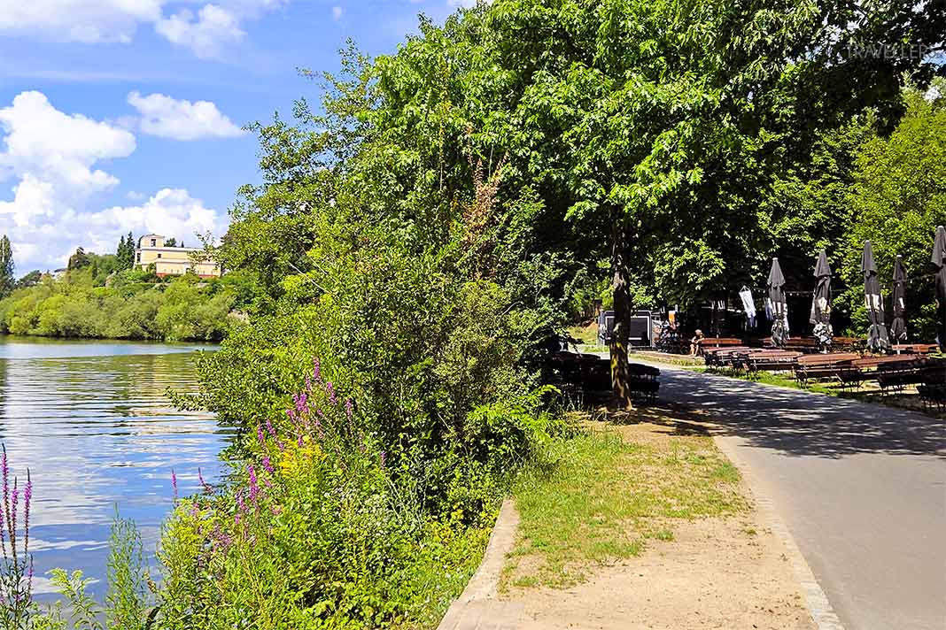 An der von Bäumen gesäumten Mainpromenade stehen viele Bänke und Tische eines Biergartens