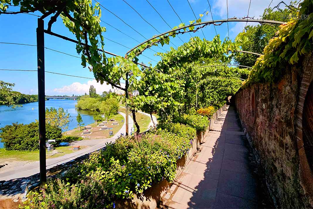 Die Laubengänge oberhalb des Mains überspannen die Wege im Schlossgarten