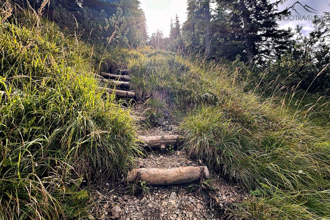 Stufen auf dem Fritz-Koeber-Steig