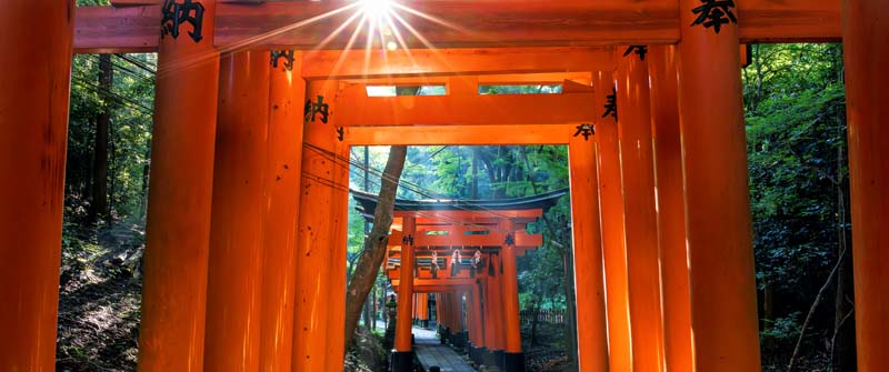 Japan Sehenswürdigkeiten: Wo Tempel, Neon und Schneeaffen aufeinandertreffen