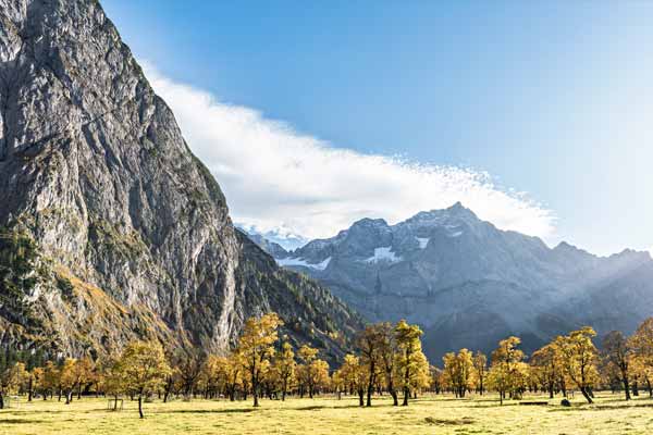 Bunte Ahorn-Bäume im Ahornboden, Österreich