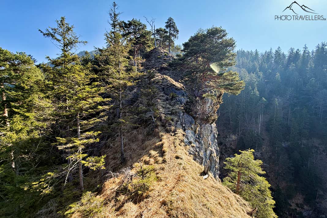 Schmaler Bergpfad unterhalb vom Osterfeuerkopf