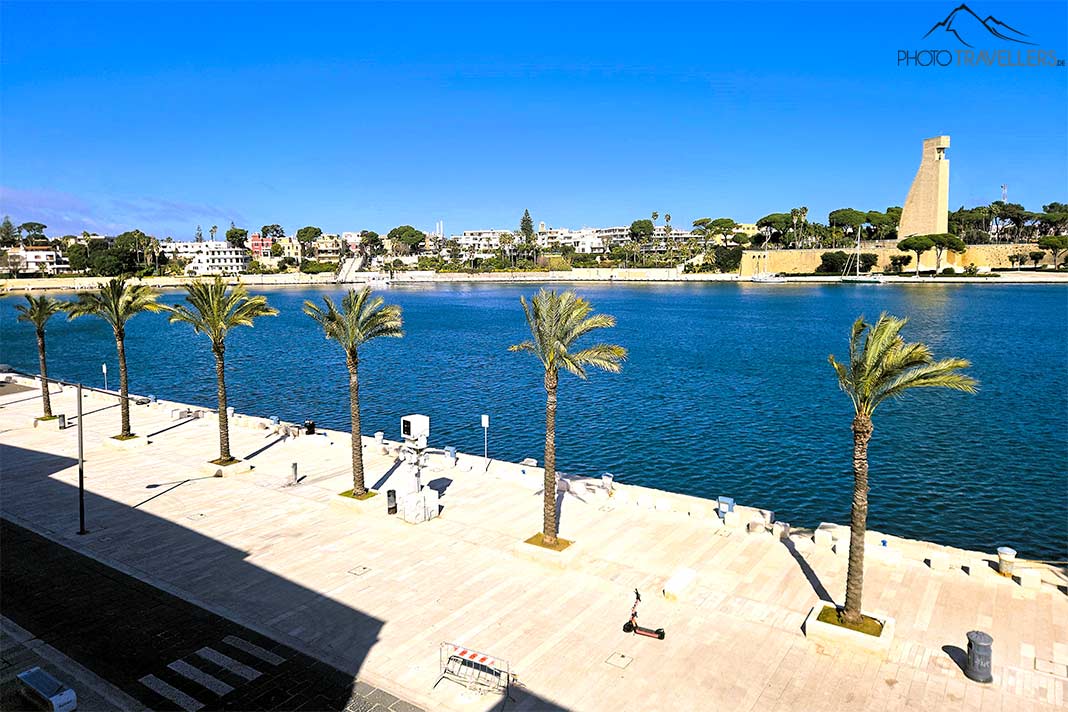 Eine Palmenalle an der Promenade von Brindisi mit dem gegenüberliegenden Ufer im Hintergrund