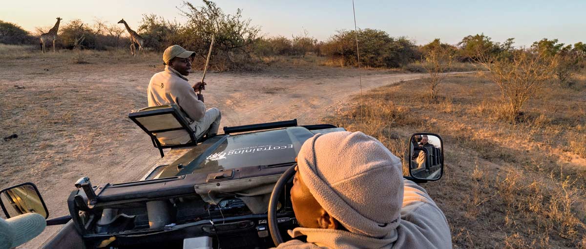 Zwei Guides in einem Jeep mit Giraffen im Hintergrund, Südafrika