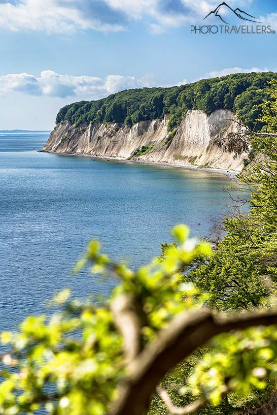 Kreidefelsen auf Rügen
