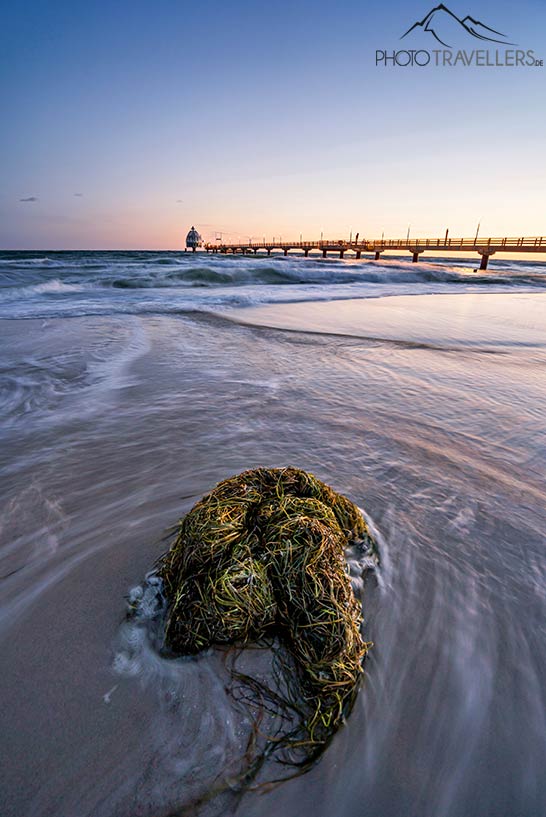 Seebrücke Zingst im Morgenlicht