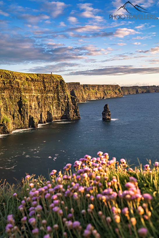 Cliffs of Moher, Irland