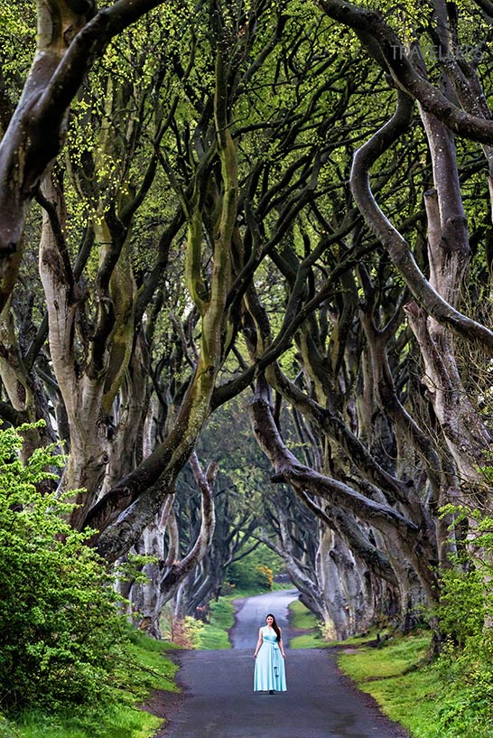 Reisebloggerin Biggi Bauer in den Dark Hedges, Irland