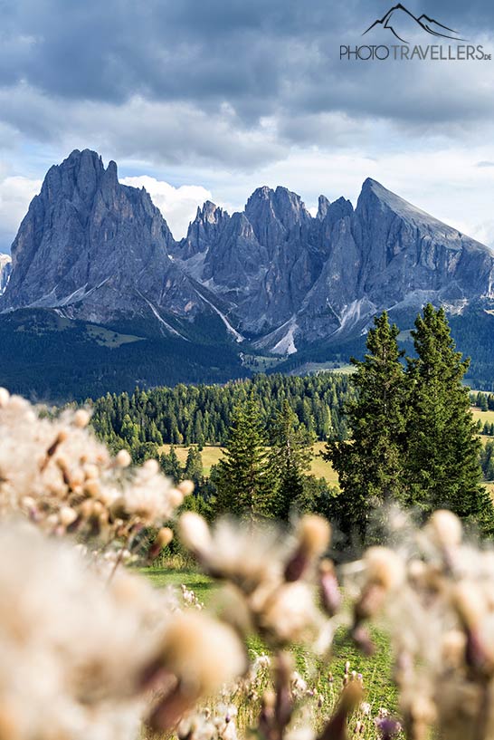 Blick von der Seiser Alm auf Platt- und Langkofel, Dolomiten
