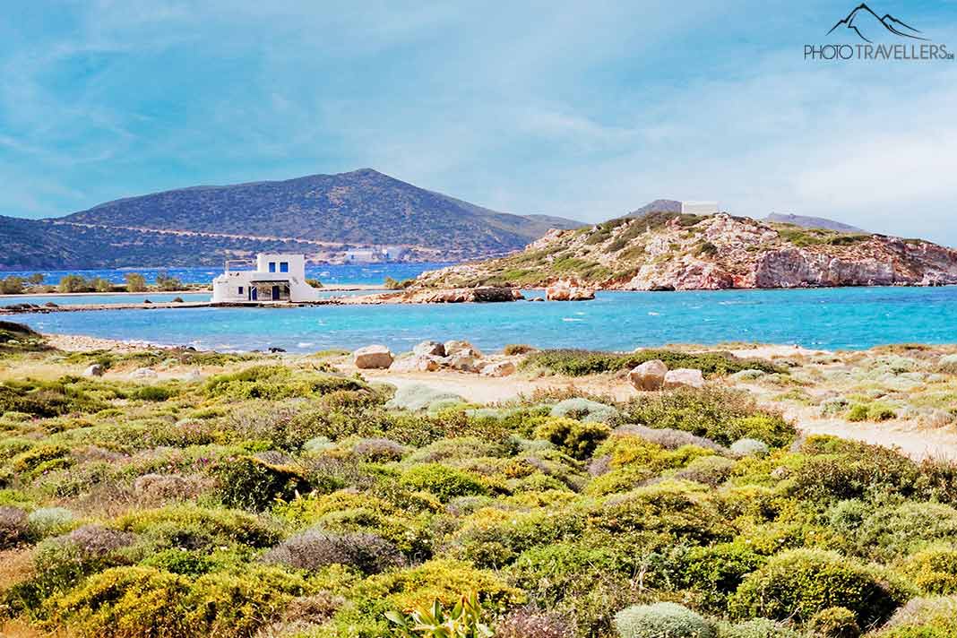 Weißes Haus steht an einer Lagune am Meer daneben grünes Buschwerk