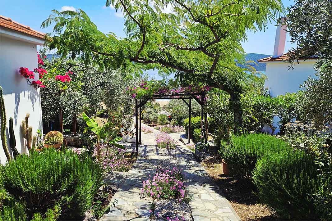 Garten mit vielen Bäumen und bunten Pflanzen in den Flower Gardens Alonnisos