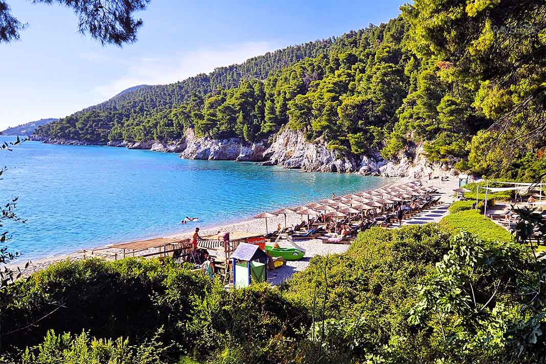 Enge Reihen mit Sonnenschirmen dahinter dichte Nadelbewaldung am Kastani Beach