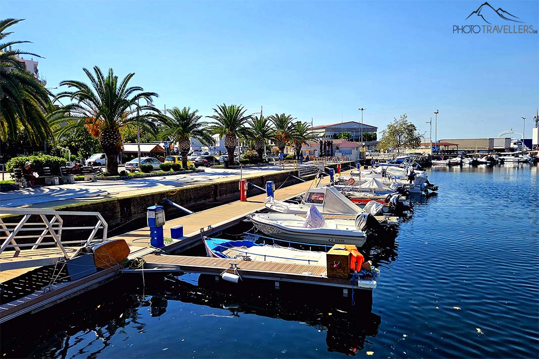 Viele kleine Boote ankern nebeneinander an der mit Palmen gesäumten Promenade von Kavala