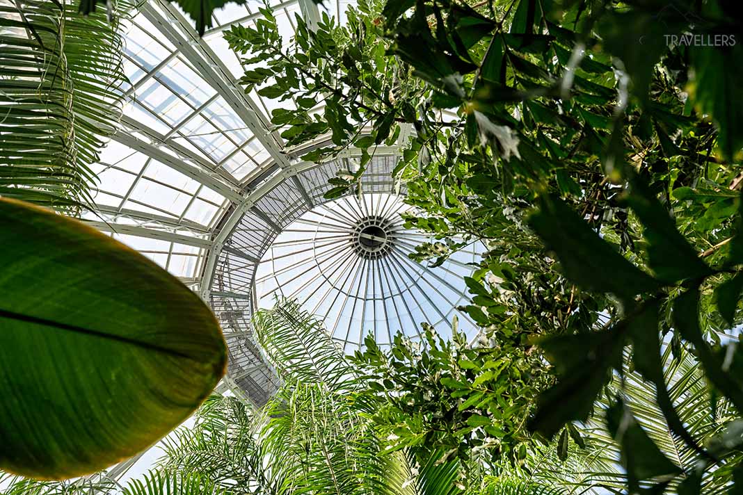 Im Inneren der Kuppel des Anna Scripps Whitcomb Conservatory in Detroit
